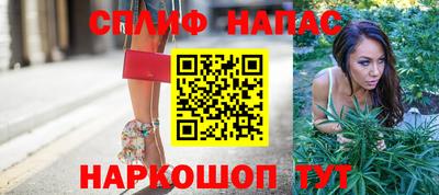 СК Кимры