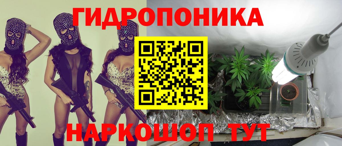 МАРИХУАНА гибрид Королёв