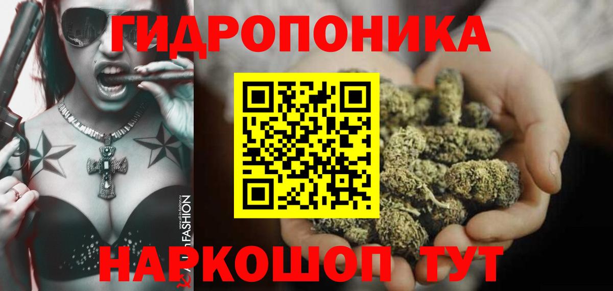 Королёв  МАРИХУАНА семена  Конопля OG Kush  Вход с VPN  Конопля планчик  Бошки Шишки Bruce Banner 